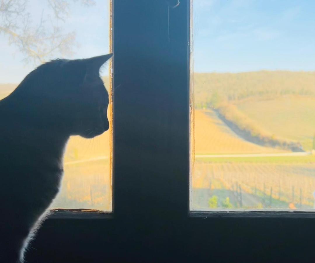 Locanda Podere Le Vigne Radda in Chianti Zewnętrze zdjęcie