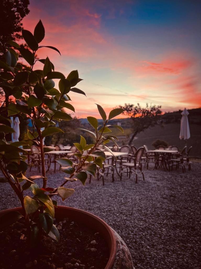 Locanda Podere Le Vigne Radda in Chianti Zewnętrze zdjęcie